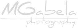 logo gray